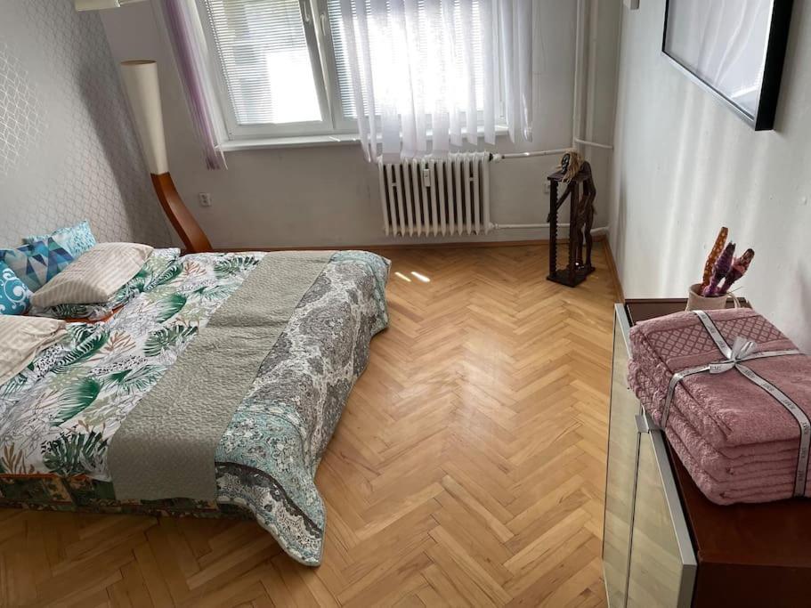 2,5 Izbovy V Ruzinove S Parkovanim Zdarma Apartman