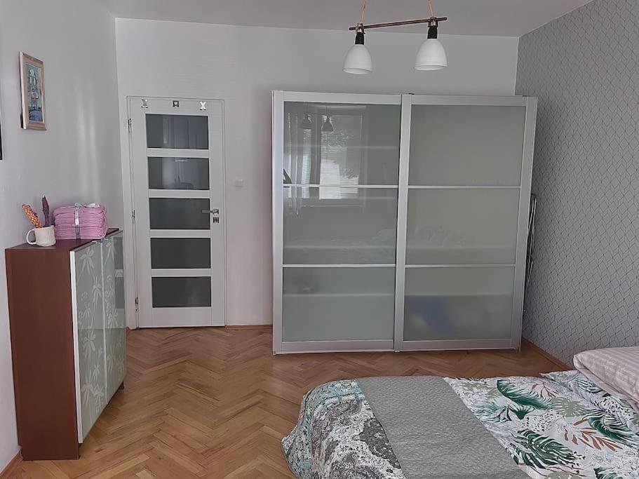 2,5 Izbovy V Ruzinove S Parkovanim Zdarma Apartman
